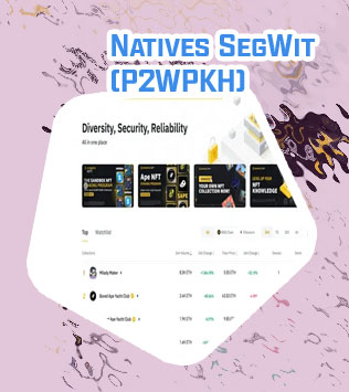 Binance bitcoin native segwit