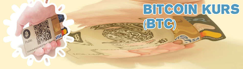 Bison bitcoin wallet