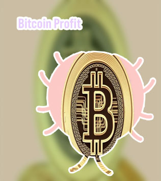 Bitcoin gain