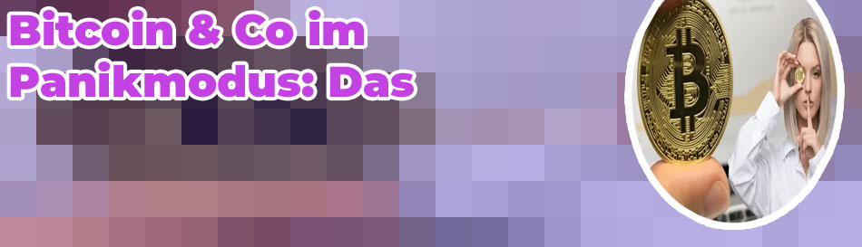 Bitcoin seit beginn