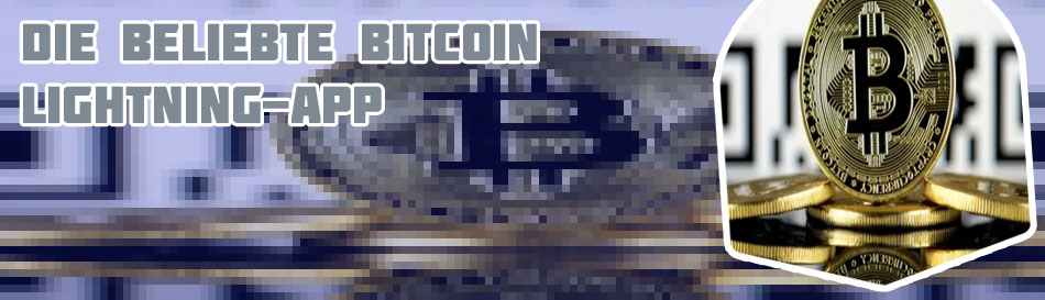 Satoshi bitcoin wallet