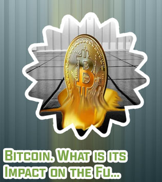 Wer hat die meisten bitcoin